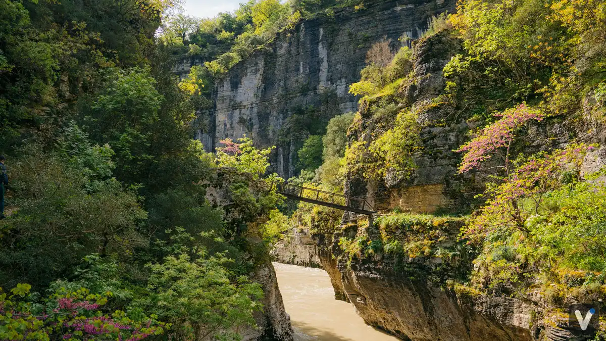 Çorovoda