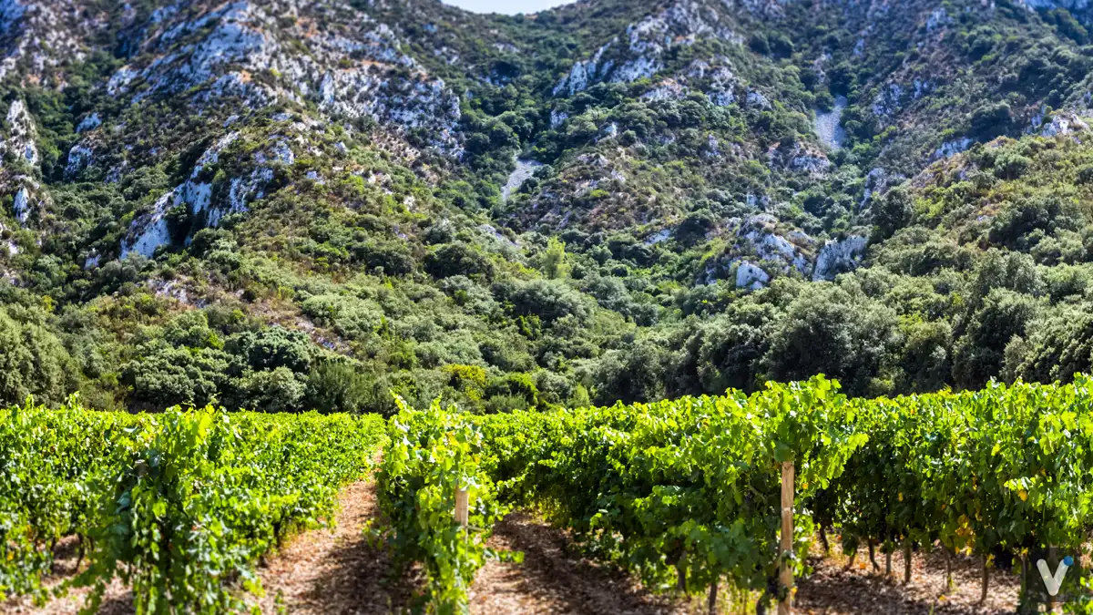 Saint-Rémy-de-Provence