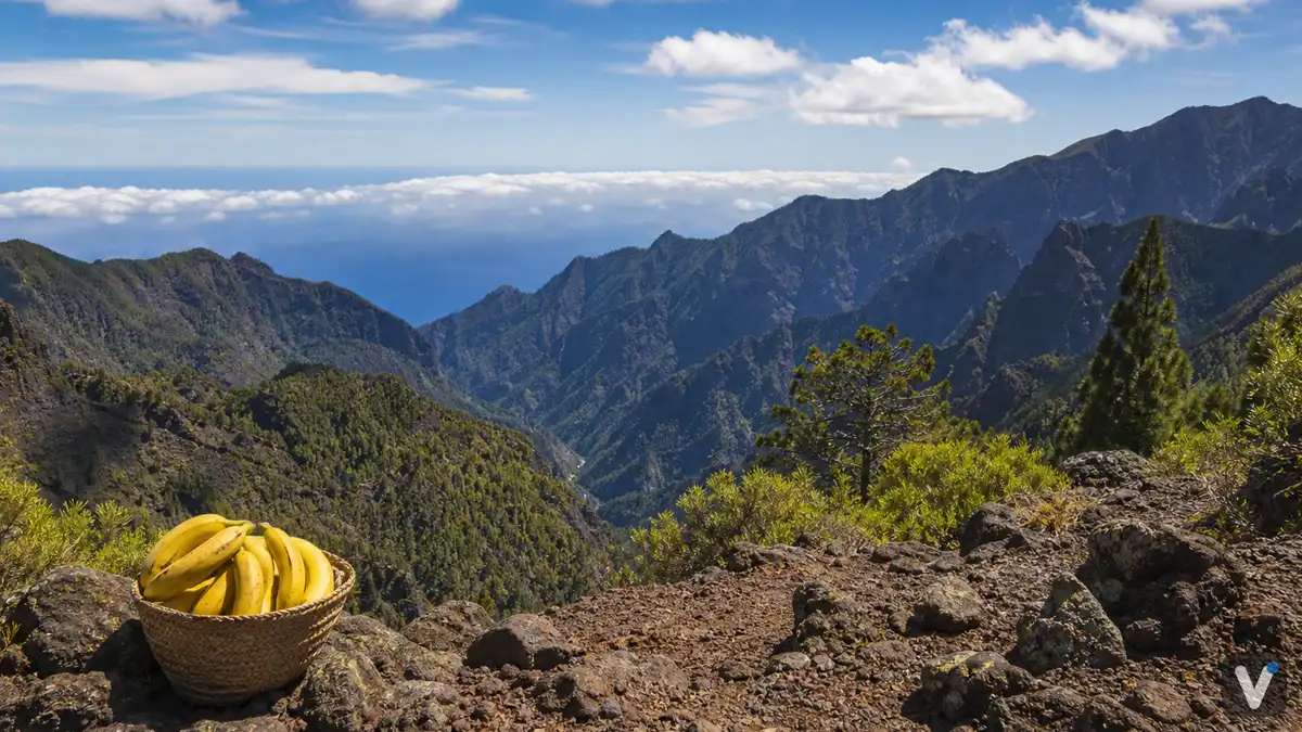 Kanaren (La Palma)