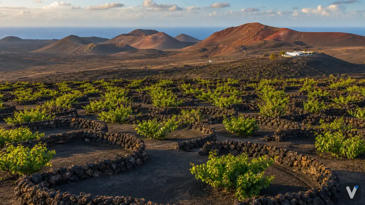Kanaren (Lanzarote)